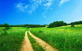 Here is another free chromakey footage. Countryside Path 2560x1440 Beautiful Scenery Wallpaper Landscape Wallpaper Summer Landscape
