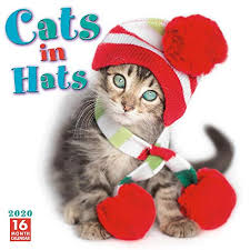 Tusindvis af nye billeder af høj kvalitet tilføjes hver dag. 9781531907365 Cats In Hats 2020 Calendar Abebooks Sellers Publishing Inc 1531907369