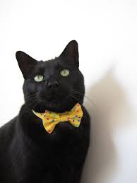 Black And White Cat With Bow Tie Cat Bow Tie Choose Your Own Prints Cat Bow Tie Cats Crazy Cats