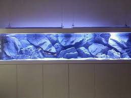 One Of Our Big Malawi Project Decorated With Classic A Model Aquarium Backgrounds Aquarium Fish Tank