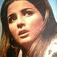 Fox (Animal) by Martin Wallen