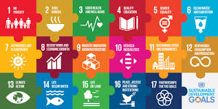 Are you looking for information on the sustainable development goals (sdgs) in your language? Sustainable Development Goals Sdg Are More Than Just Nicely Coloured Icons A Puzzle Luonnonvarakeskus