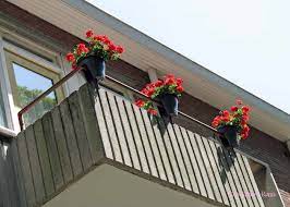 Quite often, there isn't more to examine than rotten flesh or mere bones. Balcony