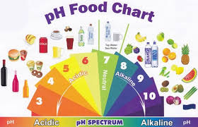 Ph values of various foods u.s. Maintain An Alkaline Body For Maximum Athletic Performance And Health Tennis Life Magazine