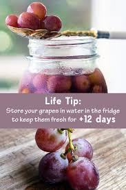 Cooked, cooled dolmas can be refrigerated for up to 5 days or frozen for up to 3 months. Diy Life Hack Store Your Grapes In Water In The Fridge Keeps Grapes Fresh Longer Diy Lifehack Grapes Foodhack Food Fresh Food Food Waste