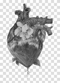 Are you ready to learn how to draw a flower? Floral Heart Drawing Anatomical Drawing Pencil Flower Drawings Rooster Doodle Blackandwhite Transparent Background Png Clipart Hiclipart