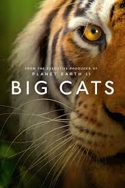 There was something about the clampetts that millions of viewers just couldn't resist watching. Big Cats Tv Mini Series 2018 Imdb