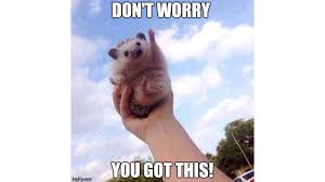 70 Best Inspirational Memes To Keep You Motivated Remote Tools