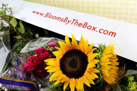 Check spelling or type a new query. Top 5 Doubts About Ordering Wholesale Flowers Online