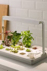 Vaxer Pflanzenbanke Pflanzenbeleuchtung Plants Room Inspiration Garden