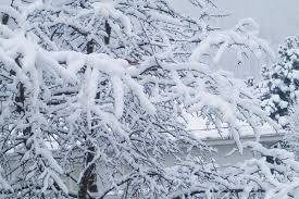 We did not find results for: Heavy Snow Expected On Coquihalla Between Hope And Merritt Princeton Similkameen Spotlight