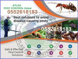 Read customer reviews of certified pest control companies in dubai. Atlas Pest Control Company In Dubai 2020 Discount Time