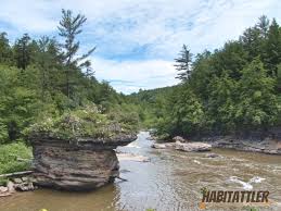 De qué forma los pagos que recibimos afectan. Swallow Falls Off The Wall Habitattler Hiking Waterfalls In Maryland