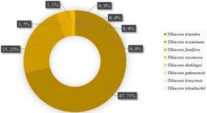 Image result for Tiliacora funifera