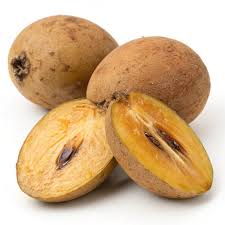 Image result for Manilkara