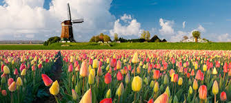 Com toda a certeza, a maioria dos brasileiros vai ficar triste ao saber que fomos imprecisos a nossa vida inteira. Qual A Diferenca Entre Holland E The Netherlands English Experts