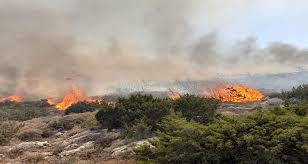 Jun 04, 2021 · νεοσ εμπρησμοσ σε οχημα φαρμακευτικησ τα ξημερωματα στη θεσσαλονικη οασθ για εμπρηστικη επιθεση: Emprhsmos Apo Ameleia H X8esinh Fwtia Sth Salamina Dikografia Se Baros Hlikiwmenoy E Koufalia Gr
