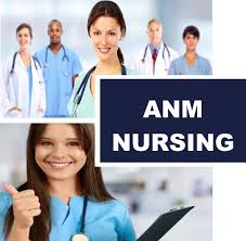 In addition to cisco gold partner status, anm has now achieved four master certifications, which puts the company among fewer than a dozen u.s. Nursing Institute In Delhi Anm Nursing
