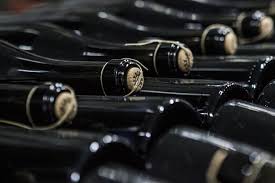 Шампанское и игристые вина paltrinieri. Lambrusco Radice Cantina Paltrinieri Cod 8011