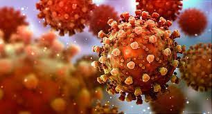 Delta has mutations that can help it avoid the immune response. Cdc Delta Variant From India A Variant Of Concern