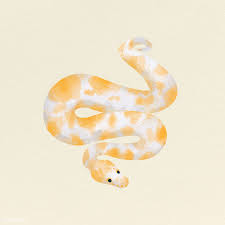 Download Premium Vector Of Ball Python On A Beige Background Vector 2053054 In 2020 Beige Background Vector Background Pattern Animal Illustration