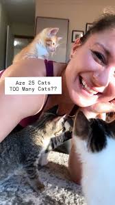 Are 25 cats too many cats??? 🐾 , Hi, I’m Ashlyn! Since July, we’ve cared  for moms, newborns, chaos gremlins, and even a few fragile kittens we  weren’t sure would make it. What started as “just one ...