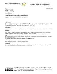 Image result for Sesamum calycinum