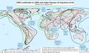 Epidemiology Of Influenzavirus A H5n1