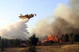 200 efectivos, 56 vehículos y 9 medios aéreos. Pedro Loyo Linkedin Connect Message Incendios Quase 20 Concelhos Em Risco Maximo Nas Regioes Do Interior Norte Centro E Algarve Web En Miami