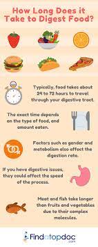 What is the normal process of digestion? How Long Does It Take To Digest Food