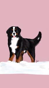 Bernese Mountain Dog Clipart Black And White Digital Dog Drawing Handsome Bernese Mountain Dog On Snow Dog Tattoos Dog Drawing Bernese Mountain Dog