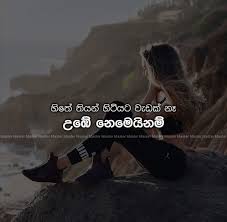 On this website, we also have variation of pics available. Pin On Lankan Thoughts