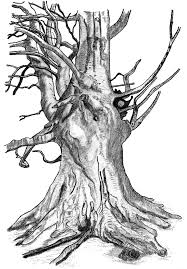 Beech Tree Choose your favorite dead tree trunk designs and purchase them as wall art, home decor, phone cases, tote bags, and more! beech tree