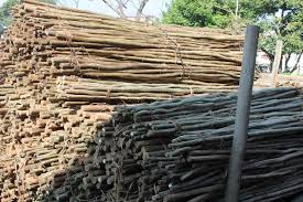Woven wood shades are an attractive alternative to popular blinds. Treated Pole Supplier Durban S Number 1 Wooden Pole Specialist