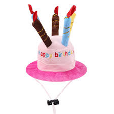 Happy birthday ecards celebrate a birthday by sending a free happy birthday ecard. China Cute Adorable Cat Dog Pet Happy Birthday Party Hat With Cake And 5 Colorful Candles Design Cosplay Costume Accessory Headwear For Dogs Cats Esg12529 Photos Pictures Made In China Com