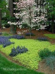 Pin On Landscaping