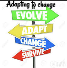 Adapting To Change Roof Repair Roofing Commercial Roofing