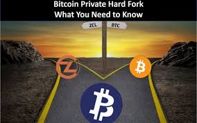 Bitcoin Private Btcp Price Chart Value Market Cap Sentiman Io Ai Crypto News Sentiments Powered By Everyone