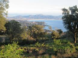 Randonnées et massifs des maures circuit des arbres et des hommes le massif des maures massif cristallin unique au sein de la provence calcaire, il dessine une ellipse de 57 kilomètres de long qui suit le littoral méditerranéen et dont collobrières est le cœur. Les Petites Maures Les Hauts De La Gaillarde Randonnee Massifs Des Maures Et De L Esterel Roquebrune Sur Argens