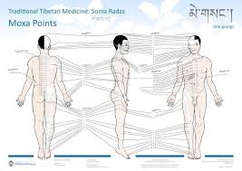 Moxibustion Points Google Search Acupuncture Sketches