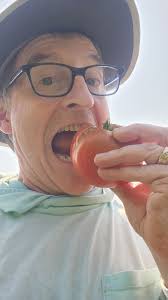 Tomatoes ripening 3 weeks early in zone 6b, Missouri