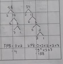 Selain dengan cara pohon faktor fpb dan kpk dapat ditentukan menggunakan cara tabel dan petak sawah bahkan menurut sebagian siswa sd cara ini lebih mudah. Pohon Faktor Fpb Dan Kpk 28 Dan 24 Brainly Co Id
