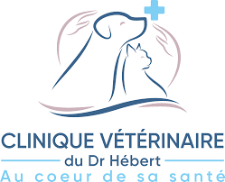 43 avenue du chemin vert. Contactez La Clinique Veterinaire Du Dr Hebert Andeville
