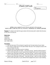 Lab manual exercise # 1a. Cheek Cell Lab