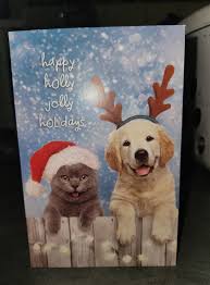 My five year old came home after spending Christmas with his dad and was  balling his eyes out saying how much he misses Elfis and he doesn't want  him to go back