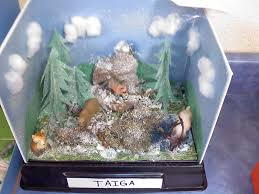Tundra Biome In A Box Project Shoebox Diorama Of A Tundra Www Cambridge K12 Oh Us Ecosystems Projects Biomes Project Habitats Projects