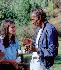 Non-White FSM Arrestees and Participants