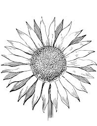 The pdf prints best on standard 8.5 x 11 paper. Coloring Pages Coloring Pages Sunflowers Printable For Kids Adults Free To Download
