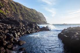 Image result for Ferraria