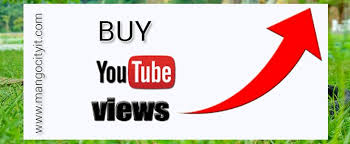 Should I Buy Youtube Views Get Real Youtube Views Youtube Views Youtube Get Youtube Views